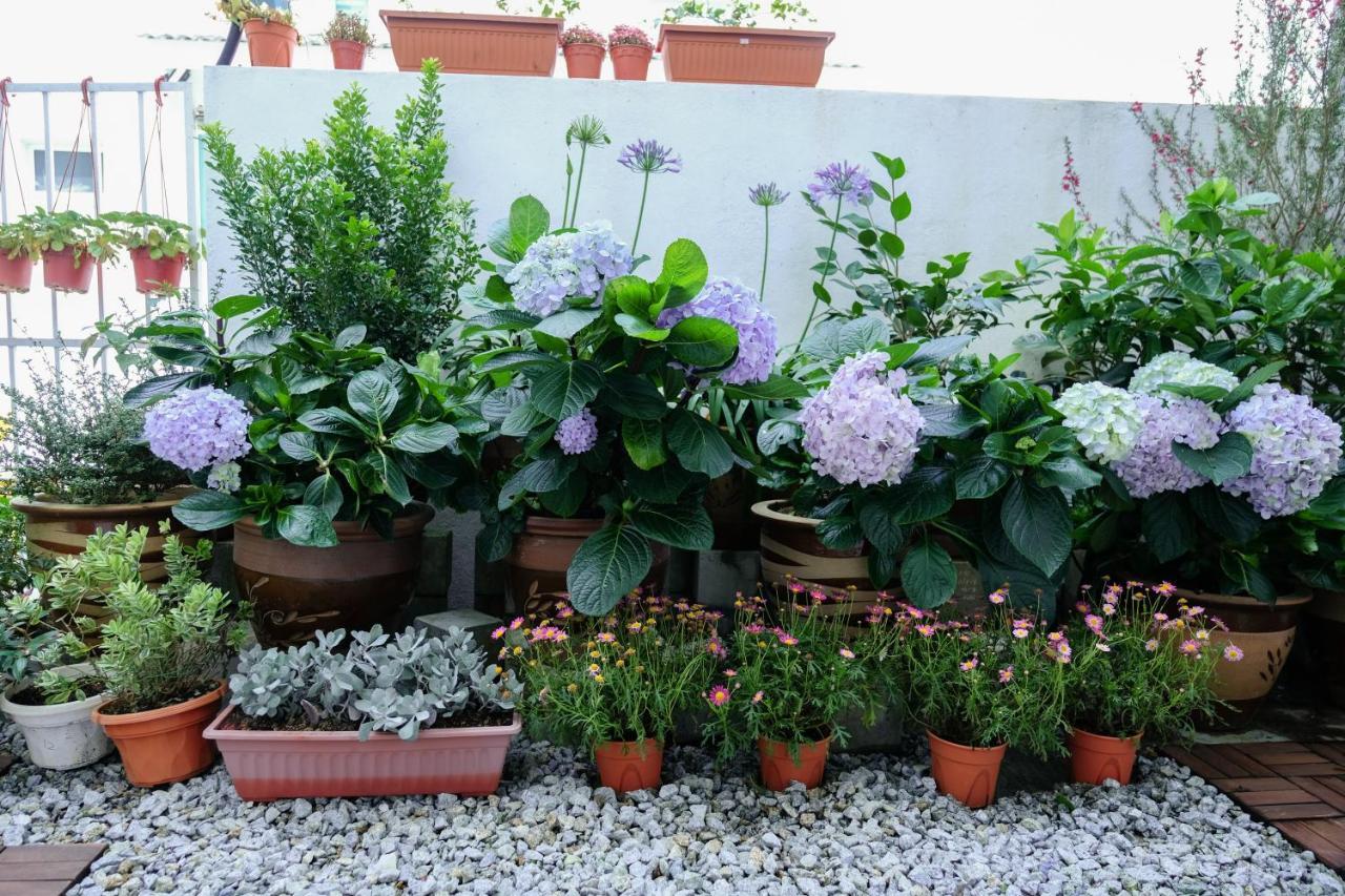 Comfy Sofy 21- Backyard Garden- Night Market Area Cameron Highlands Eksteriør billede